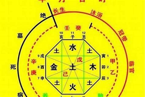 喜木是什麼|八字喜木是什么意思